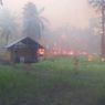 Kebakaran Lahan 30 Hektar di Sumba Timur, 100 Pohon Kelapa Milik Warga Hangus