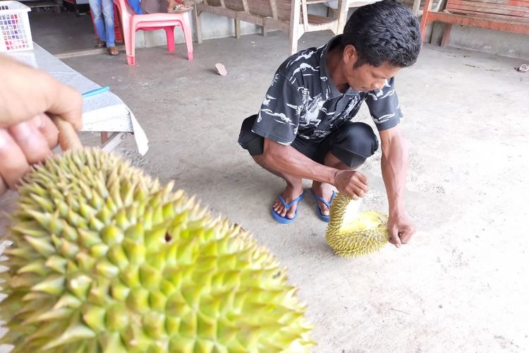 Durian di Desa Pulot, Kecamatan Leupung, Kabupaten Aceh Besar.