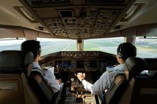 Pilot AS yang Hendak Matikan Pesawat Saat Terbang Sedang dalam Pengaruh Jamur Psikedelik