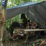 Kisah Orang Rimba Ditolak Bank hingga Terpaksa Simpan Uang Rp 1,5 Miliar Dalam Tanah di Hutan