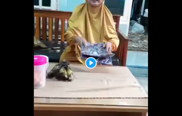 Video Viral Ibu-ibu Maki Kurir, Bagaimana Sebenarnya Sistem COD di ...