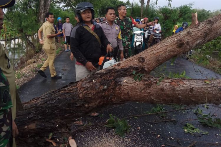 Hujan deras disertai angin kencang melanda beberapa wilayah di Kabupaten Lamongan, membuat beberapa pohon tumbang dan sempat menutupi akses jalan raya, Senin (10/2/2020) sore.