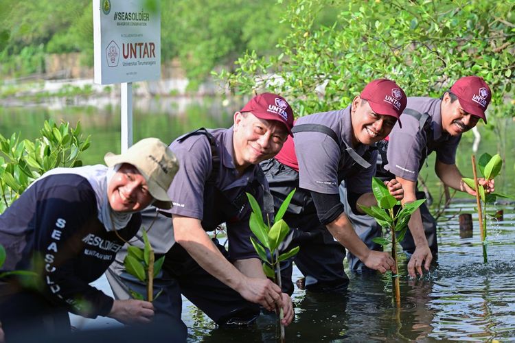 Universitas Tarumanagara (Untar) berkolaborasi dengan Seasoldier Foundation menyelenggarakan kegiatan penanaman pohon mangrove dan pembersihan sampah di Pantai Tanjung Pasir, Teluknaga, Tangerang, Selasa (30/4/2024).
