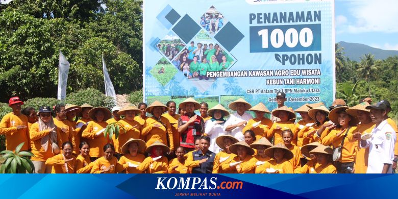 Kembangkan Agrowisata di Halmahera Timur, Antam Tanam 1.000 Pohon Buah di Desa Geltoli