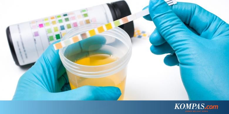 410 Contoh Undangan Rapat Via Sms HD