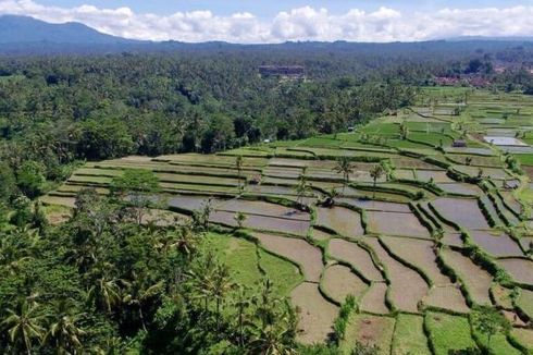 Diabetes Juga Penyakit Ancaman Orang Pedesaan