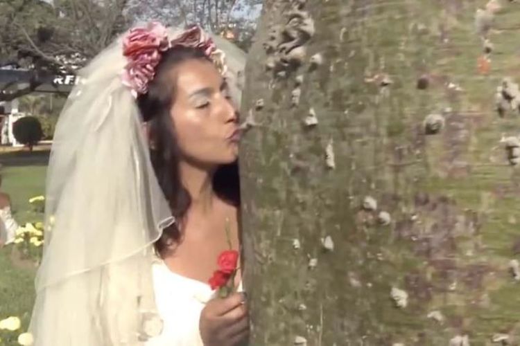 Seorang pengantin perempuan mencium pohon yang dinikahinya dalam sebuah upacara yang digelar di kota Lima, Peru.