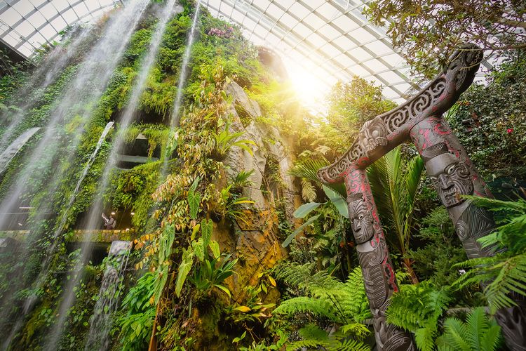 TĀNE TE WAIORA KŪWAHA sculpture, ukiran Suku Maori yang terpajang di Cloud Forest, Gardens by the Bay, Singapura sejak April 2022 lalu. Ini merupakan koleksi seni terbaru yang hadir di Cloud Forest.