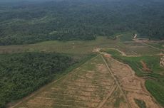 Cek PIP Desember 2025 Pakai NISN dan NIK untuk Mengetahui Dana Sudah Cair atau Belum