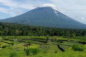 Bukit Cinta Pangi Bali: Harga Tiket, Jam Buka, dan Lokasi