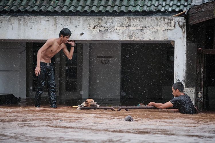 Petugas menyelamatkan anjing yang terikat di pagar saat banjir