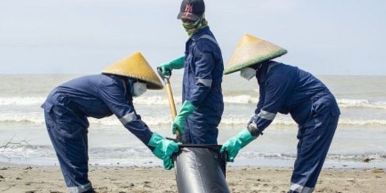 Petugas mengumpulkan tumpahan minyak mentah yang tercecer di Pesisir Pantai Mekarjaya, Karawang, Jawa Barat, Kamis (8/8/2019)