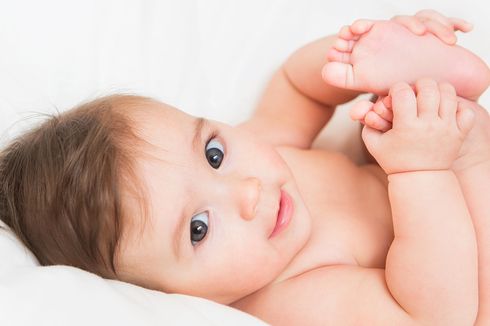 Suara Tangis Bayi Hentikan Langkah Aldianto di Tengah Kebun Sawit