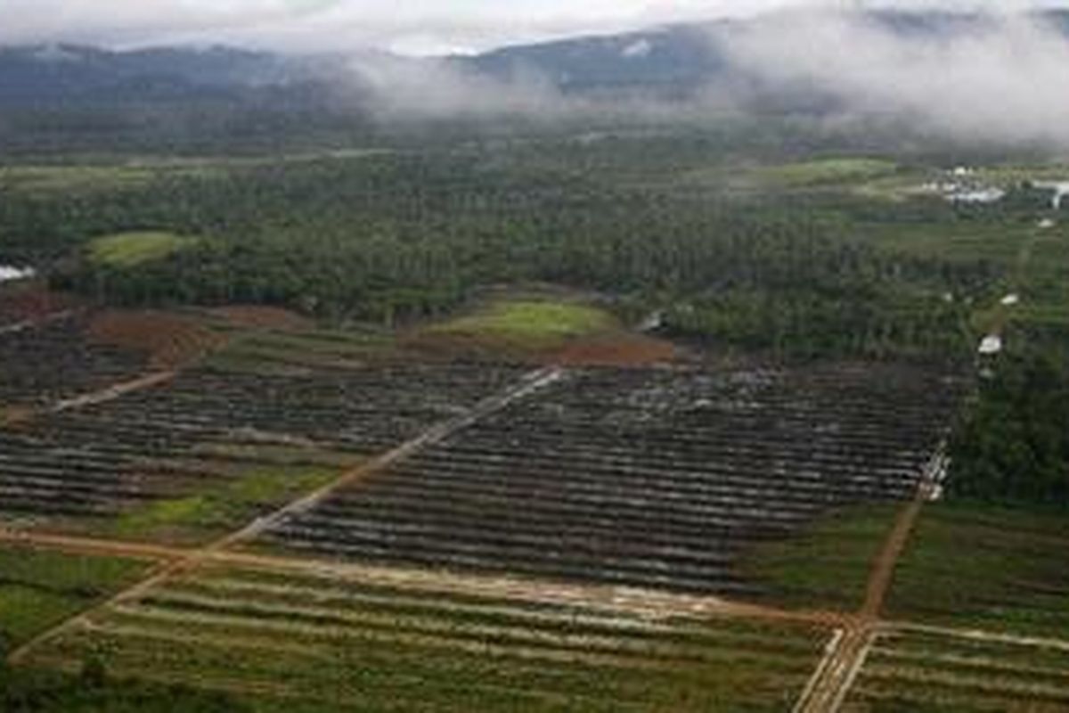 Ilustrasi Kalimantan Barat