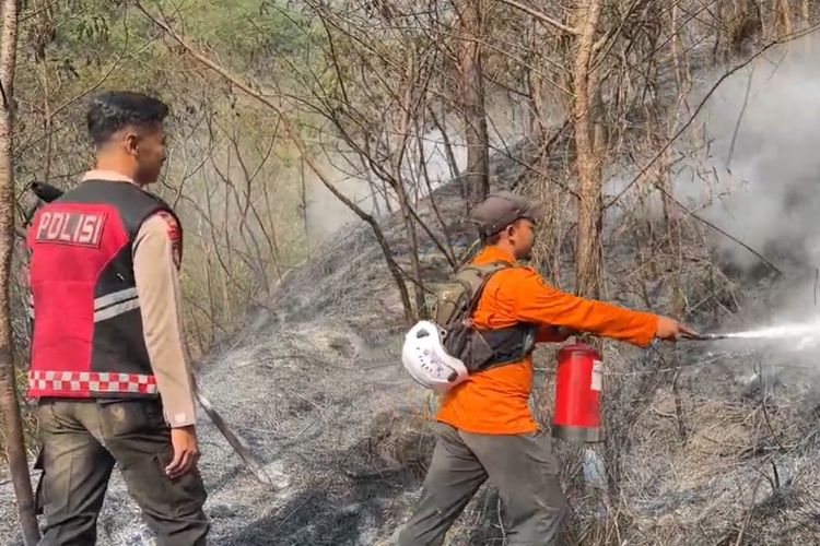 Lahan 79 Hektar di Magelang Terdampak Karhutla Gunung Sumbing, Pemadaman Terkendala Angin