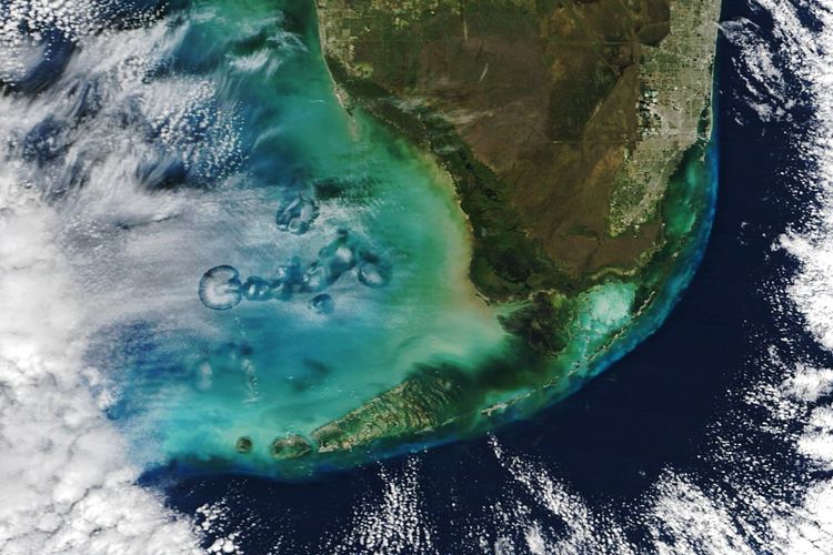 Potret awan cavum yang tertangkap satelit NASA di Teluk Meksiko, 30 Januari 2024.