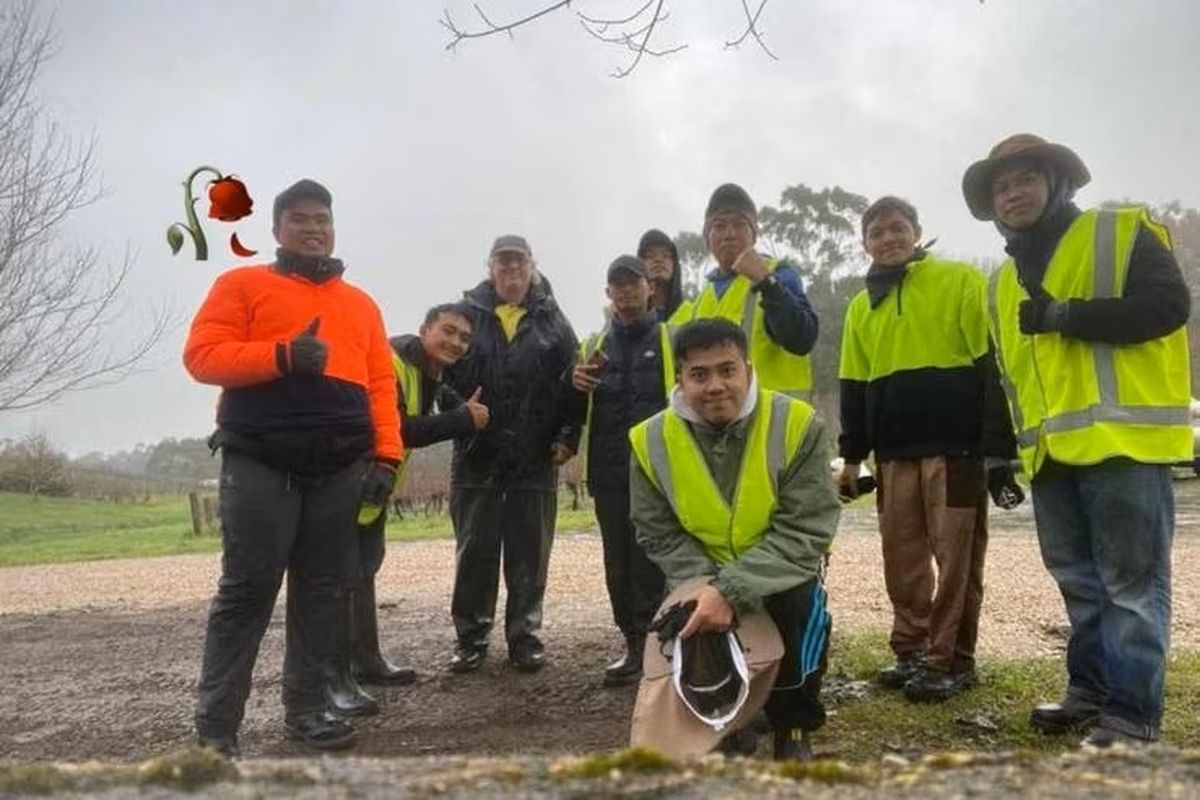 WNI pemegang WHV Muhammad Ary Utomo Panjaitan (ujung kiri) meninggal dunia akibat kecelakaan mobil di Australia Selatan.