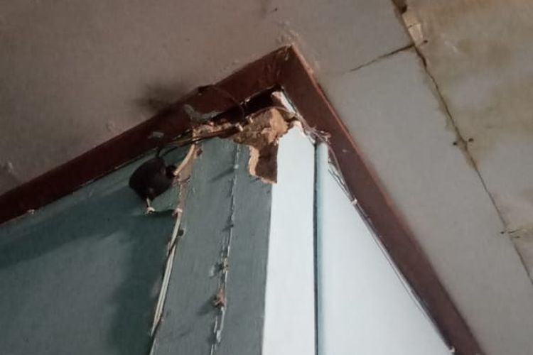 Dinding rumah warga di Madiun, Jawa Timur mengalami retak ringan akibat gempa M 6,0 Pacitan.
