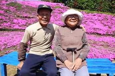 Kisah Cinta Sejati, Suami Tanam Ribuan Shibazakura untuk Hibur Istrinya yang Buta
