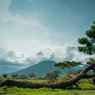 5 Destinasi Wisata Berbasis Sustainable Tourism di Indonesia