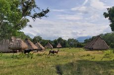 Kampung Tradisional Kawa di Nagekeo NTT, Disebut Mirip Wae Rebo