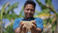 Bulog Mengawal Pangan, Menjaga Masa Depan Petani Langkat