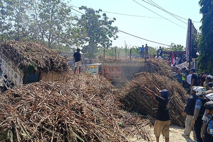 Para Petani Tagih Janji, Ribuan Batang Tebu Ditumpahkan di Depan Pabrik Gula Blora