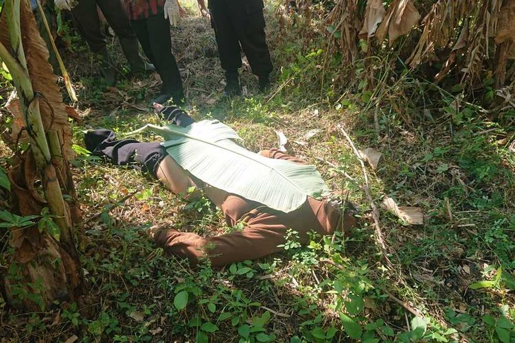 Seorang perempuan tanpa identitas tewas ditemukan di Perkebunan, Kecamatan Kalijambe, Kabupaten Sragen, Jawa Tengah (Jateng) pada Kamis (22/6/2023).