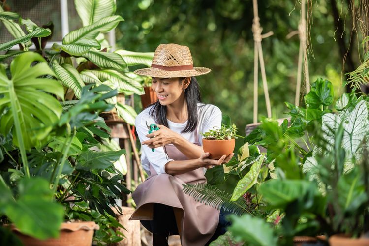 Susah Tidur? Berkebun Ternyata Bisa Tingkatkan Kualitas Tidur