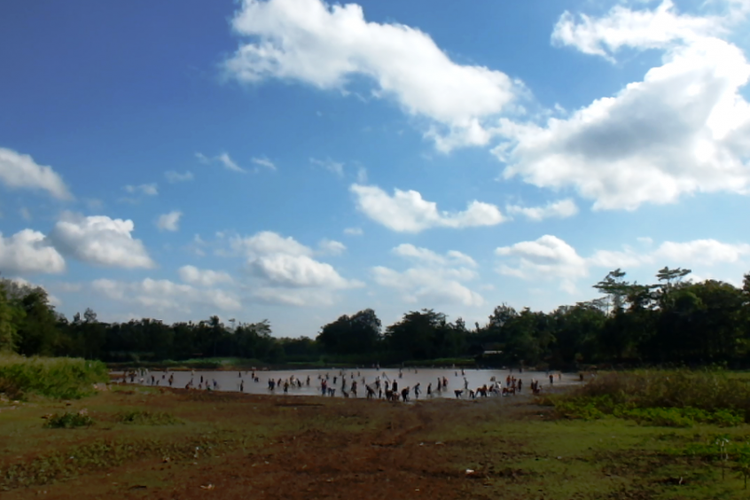 Tradisi unduh-unduh Ikan di Telaga desa Wangen