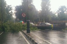 Hujan Angin dan Es Landa Bandung, Pohon Tumbang Melintang di Jalan Dago