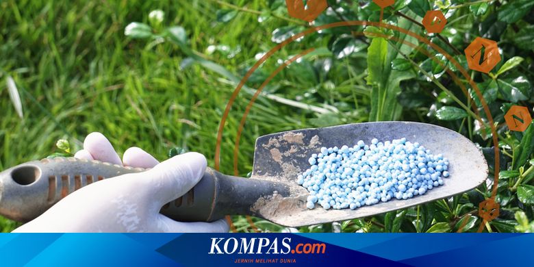 Jenis-jenis Pupuk NPK dan Kandungannya