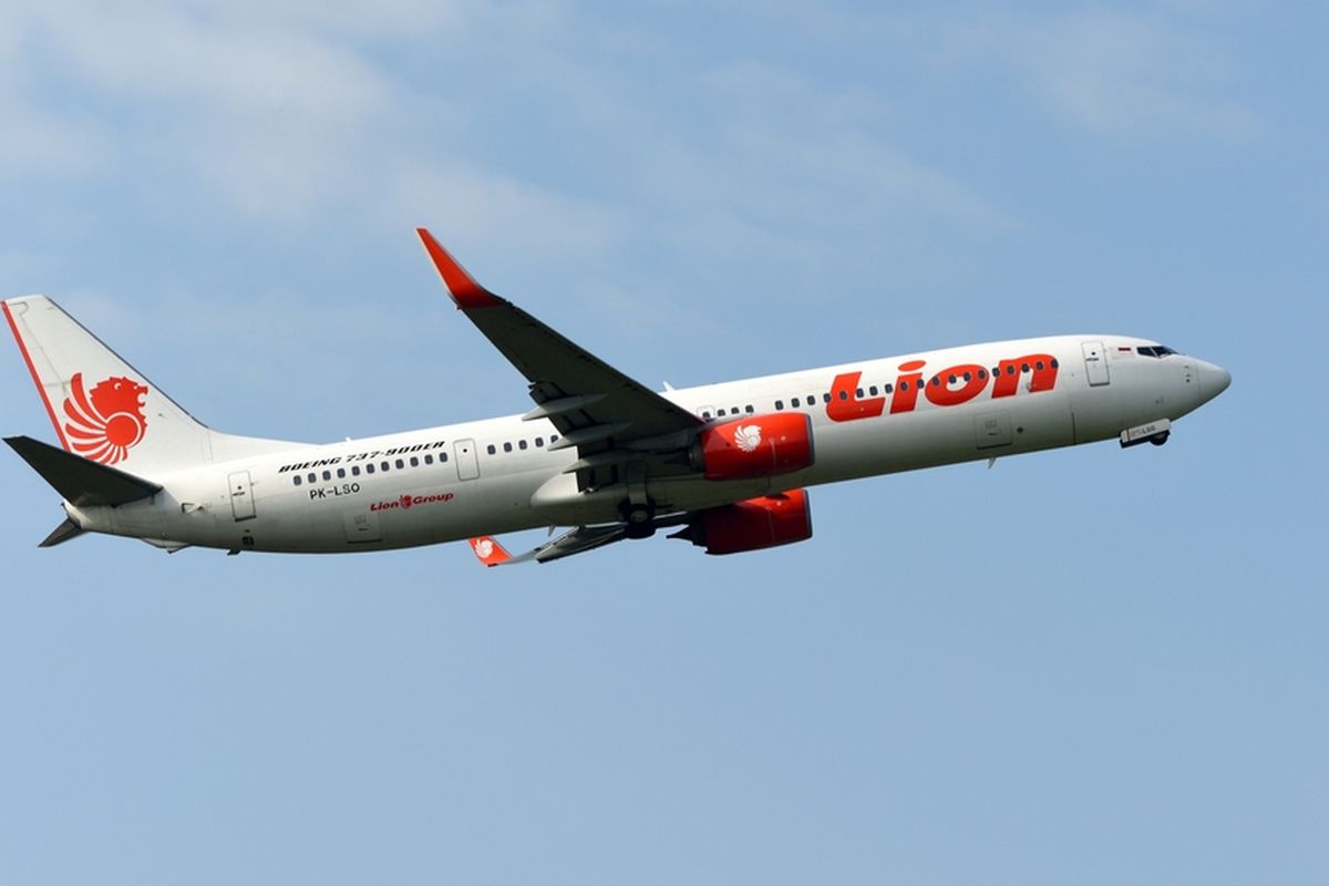 Ilustrasi pesawat Boeing 737-900ER yang dioperasikan oleh Lion Air. 