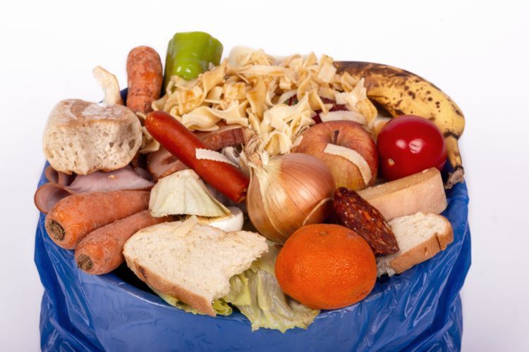 Ilustrasi food waste. 