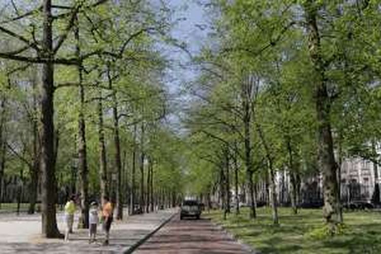 Lange Voothout, merupakan kawasan ikonik di kota Den Haag, Belanda.