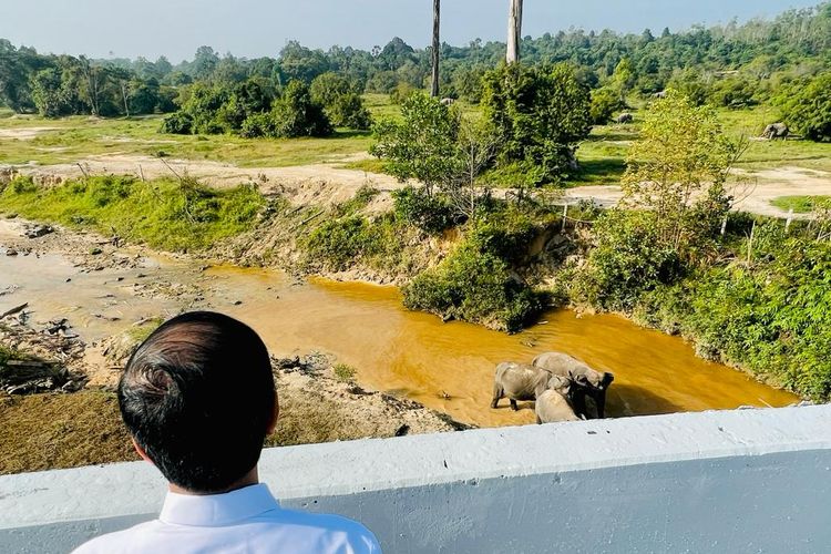 Perlintasan gajah di KM 12 ruas tol Pekanbaru-Dumai