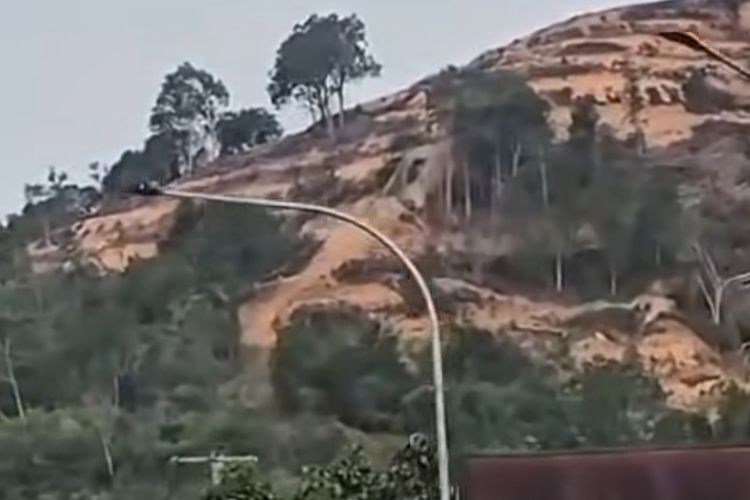 Viral Bukit Gundul di Jalur Sumbar-Riau, Dishut: Pembukaan Lahan Sawit, di Luar Kawasan Hutan