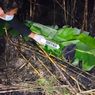 Kebun Tebu Terbakar di Sragen, Petani Ditemukan Tewas dengan Luka Bakar 80 Persen