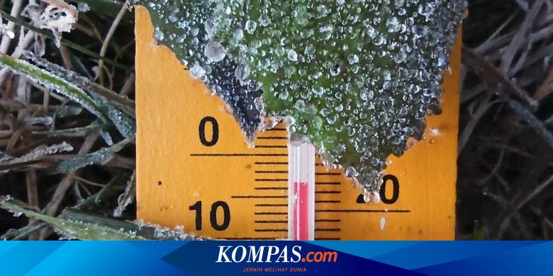 Dataran Tinggi Dieng Diselimuti Embun Es Suhu Udara Di Bawah Nol Derajat Celsius