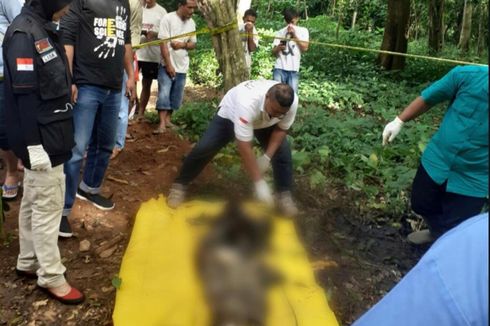 Ini Ciri-ciri Mayat yang Ditemukan Tinggal Tulang Belulang di TPU Kota Serang