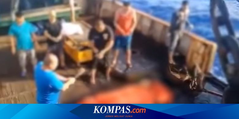 Pekerjaan Berisiko Berapa Gaji Abk Indonesia Di Kapal Ikan Asing Halaman All Kompas Com