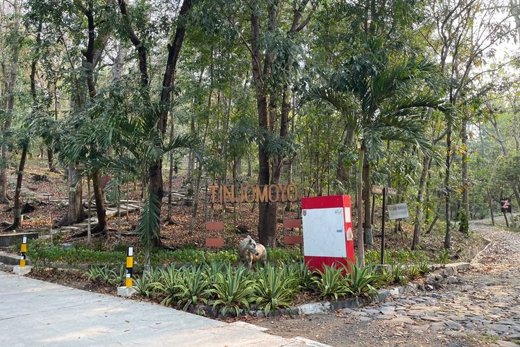 Menepi ke Tinjomoyo, Alternatif Tempat Olahraga Santai Saat Cuaca Semarang Terik