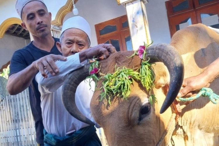 Idul Adha di Banyuwangi: Melihat Uniknya Tradisi Kurban Suku Osing