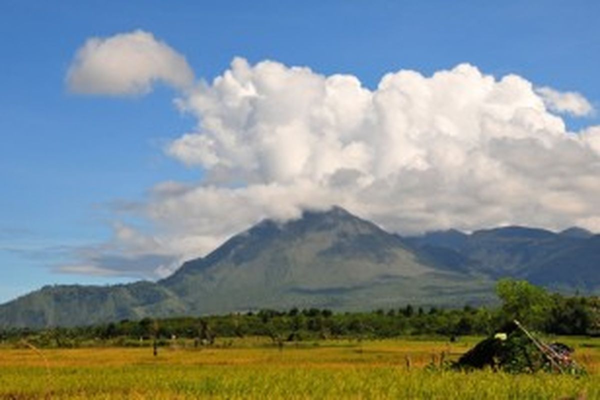 Pegunungan Burni Telong