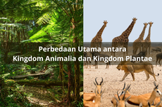 Perbedaan Utama Kingdom Animalia dan Plantae