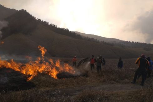 Butuh Satu Bulan untuk Pulihkan Sabana Gunung Bromo yang Terbakar