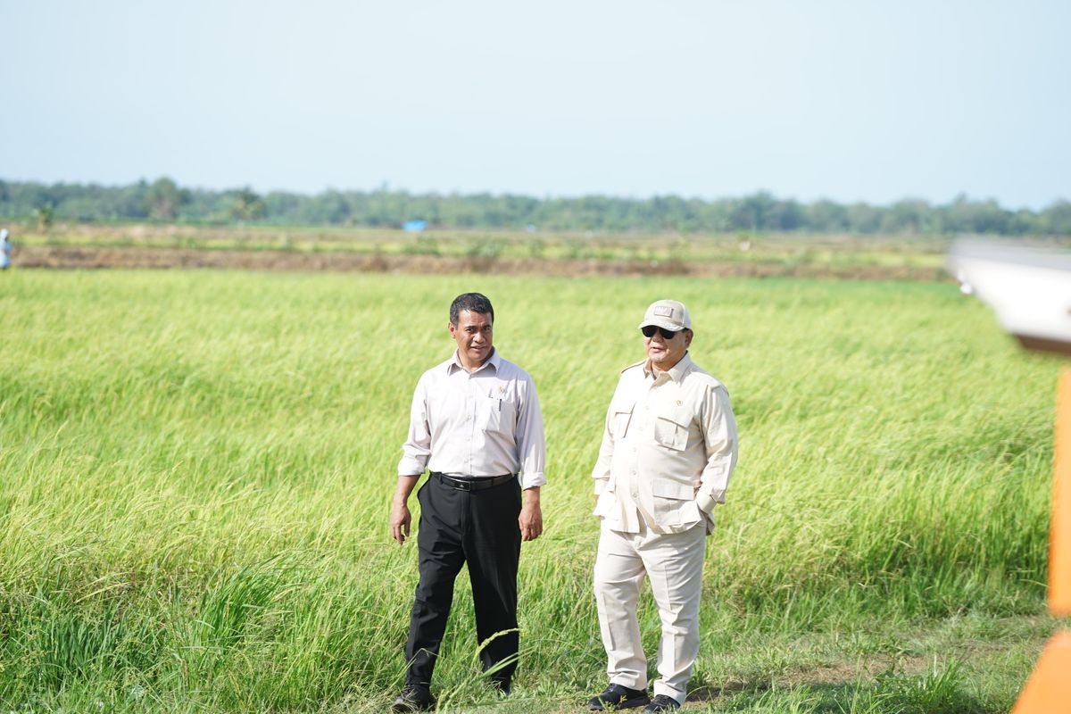 Prabowo Turun Langsung Lihat Proyek Percontohan Program Cetak Sawah di Merauke