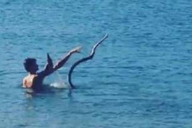 Potongan gambar dari video yang menunjukan gambar seorang pria mengajak berenang ular peliharaannya sambil minum bir di Gold Coast.
