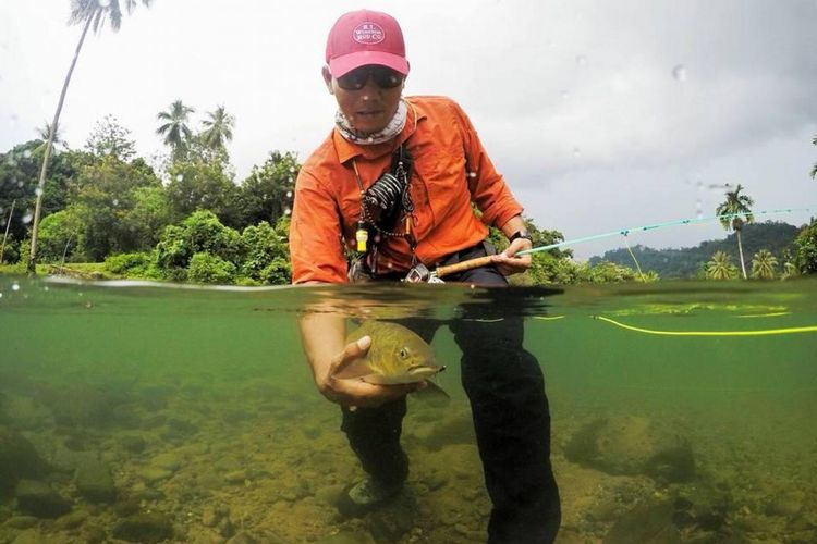 Ilustrasi paket wisata Mahseer Fly Fishing di Desa Wisata Nyarai, Padang Pariaman, Sumatera Barat.