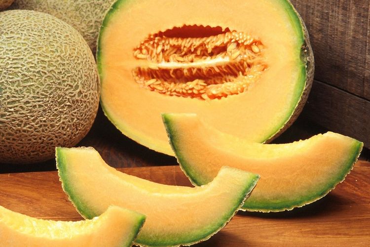 Ilustrasi melon, buah melon. 